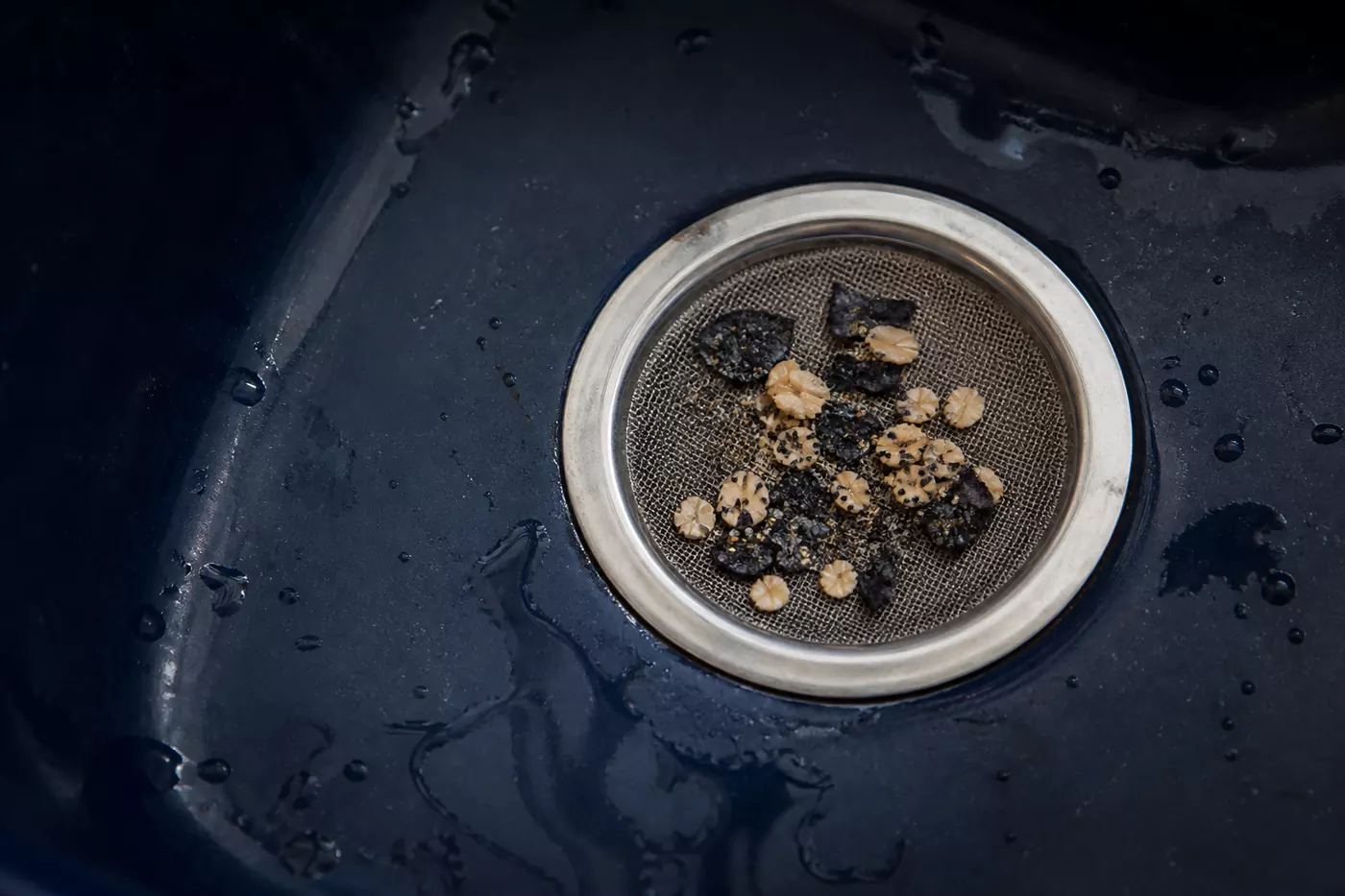Blueberry skin, wet oats and poppy seeds caught in fine mesh inside a navy enamel sink