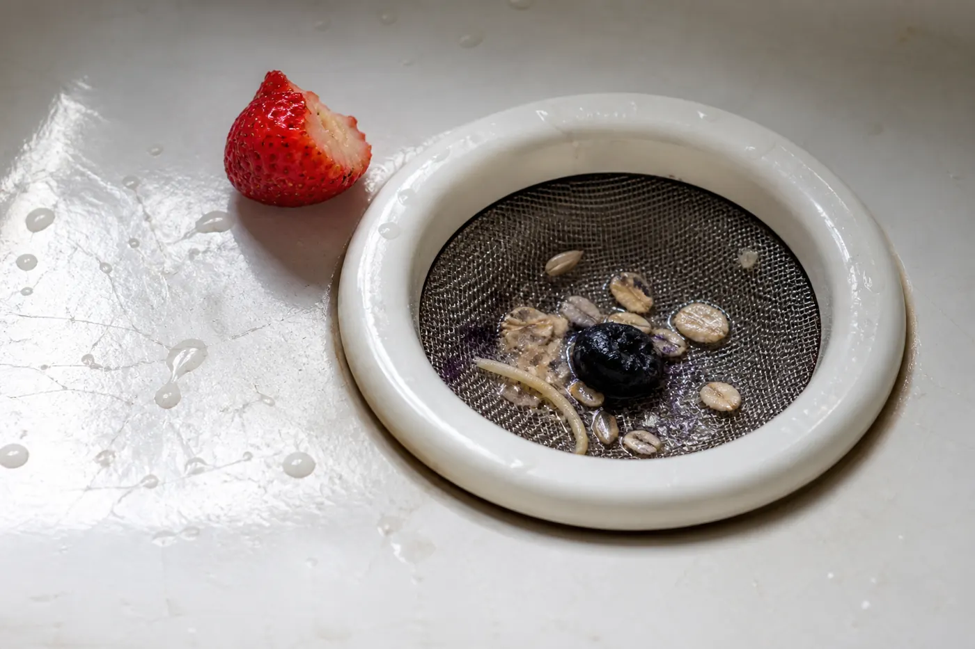 Oats, blueberry and seeds caught in a fine mesh sink strainer