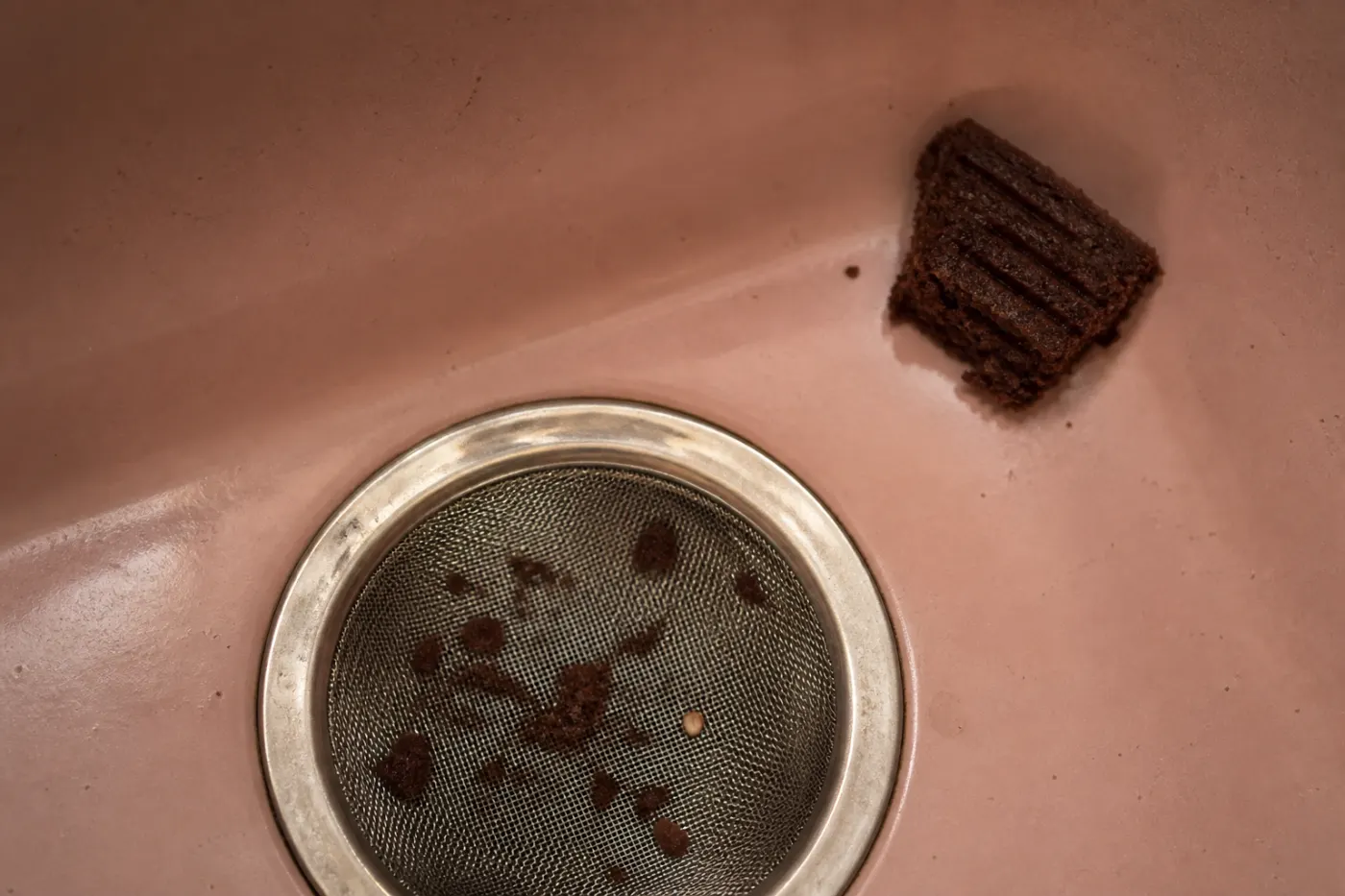 Chocolate crumbs and a raspberry seed in mesh beside fork-marked cake in a pale pink sink