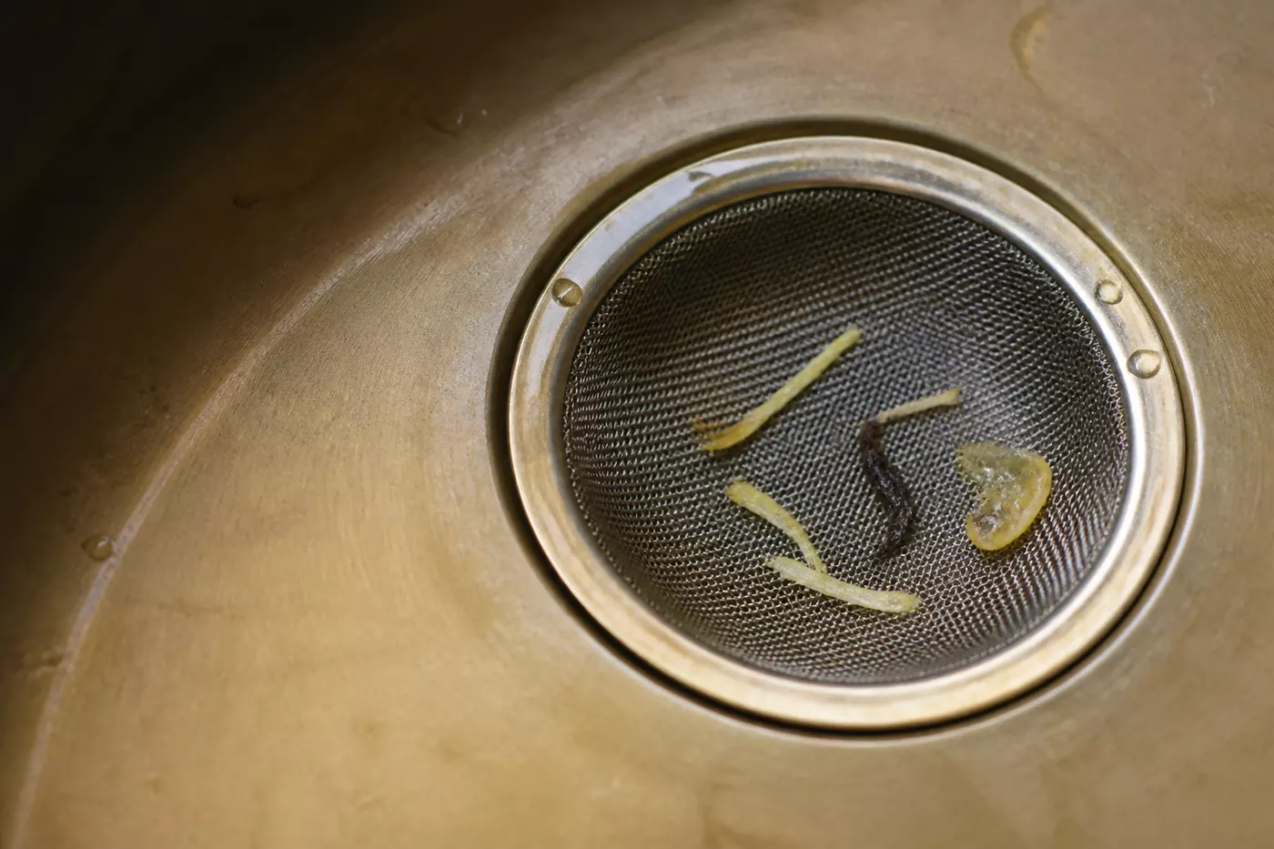 Ginger threads, a tea leaf and lemon pulp caught in fine mesh inside a brass-toned sink