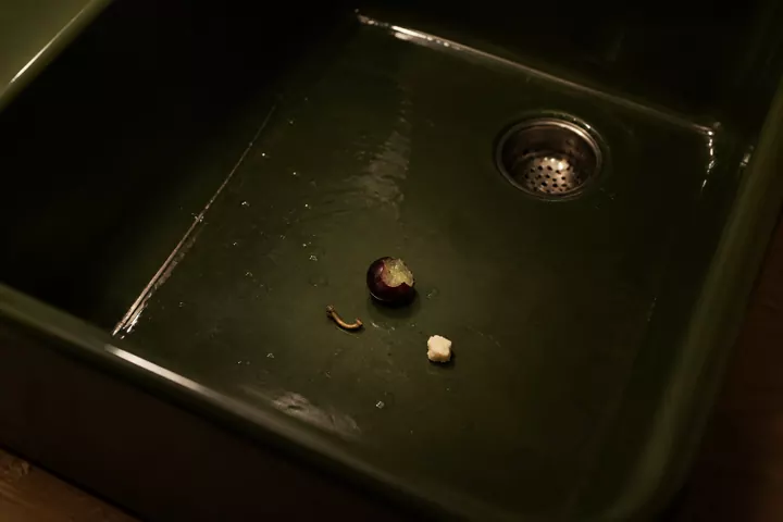 Bitten grape, vine fragment and cheese crumb in a deep green sink