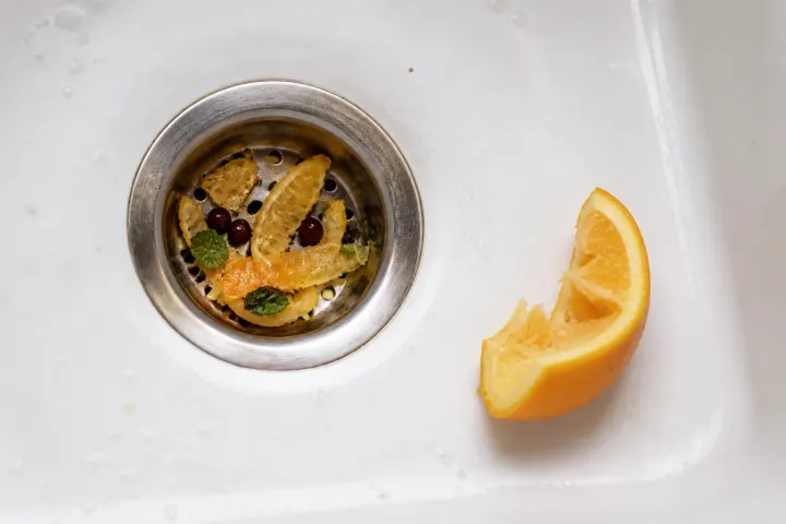 Orange pith, mint and berry seeds caught beside an orange wedge